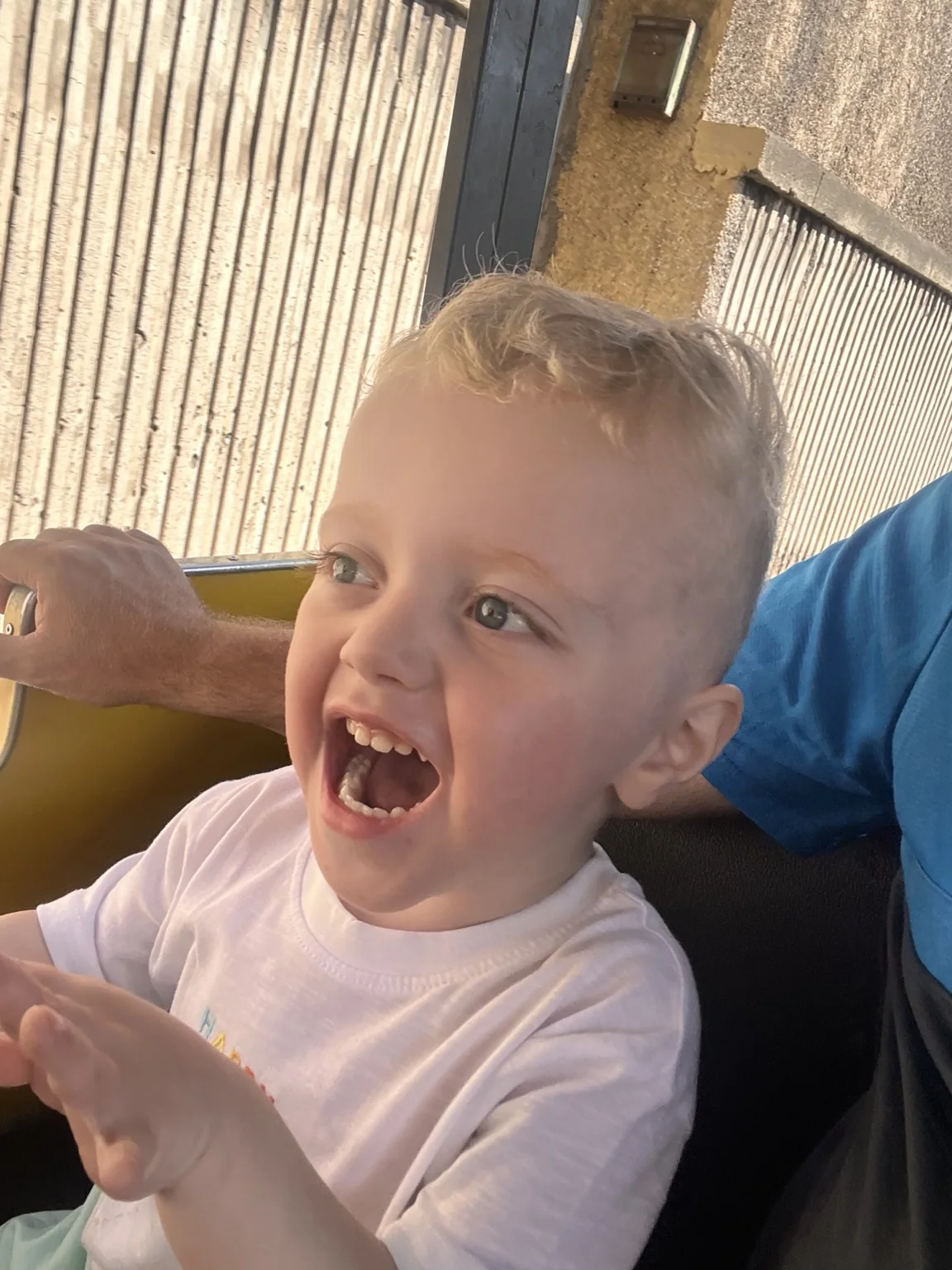 Harry laughing on a ride
